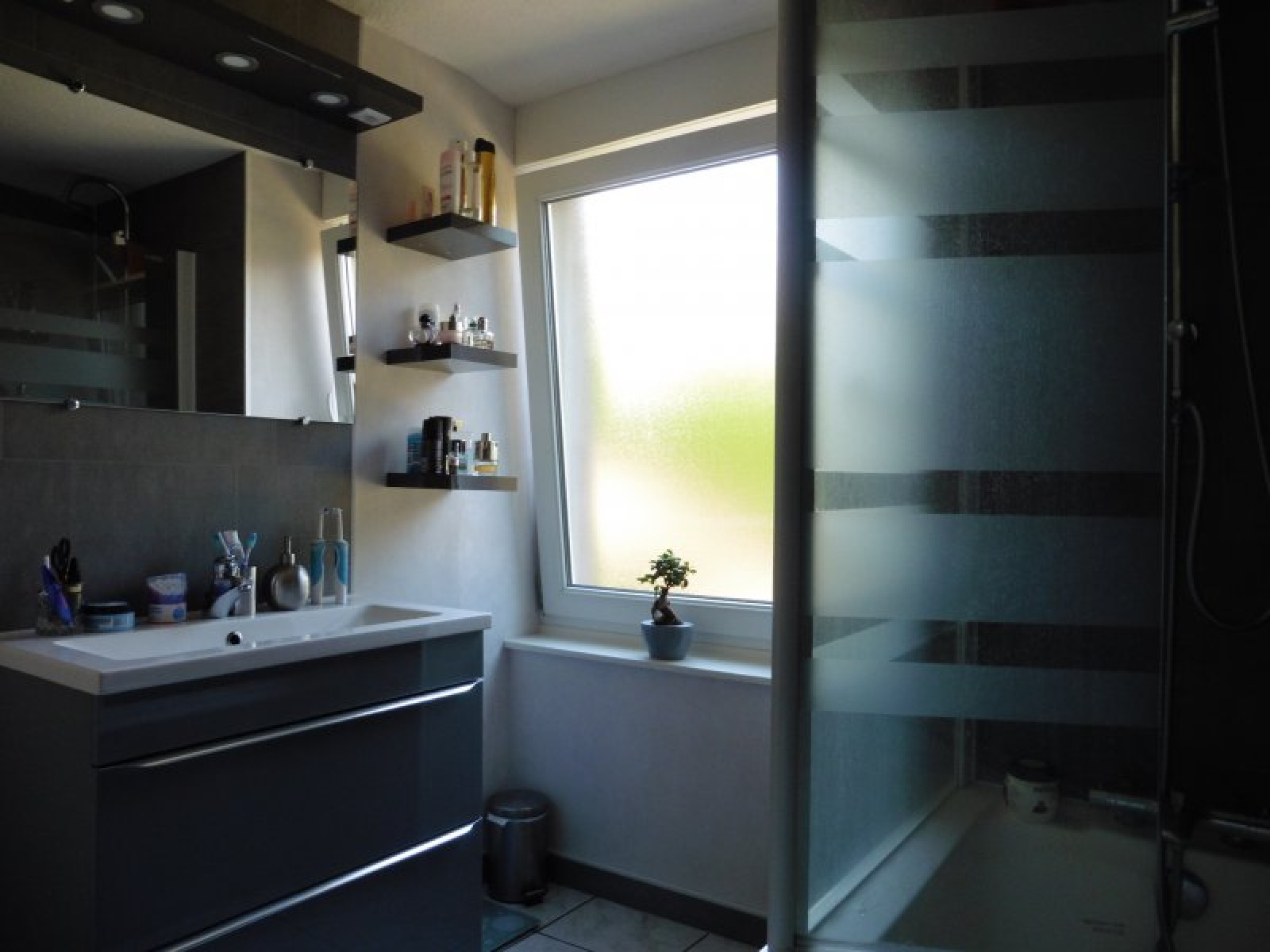 Image_, Rez de jardin, Belfort, ref :860