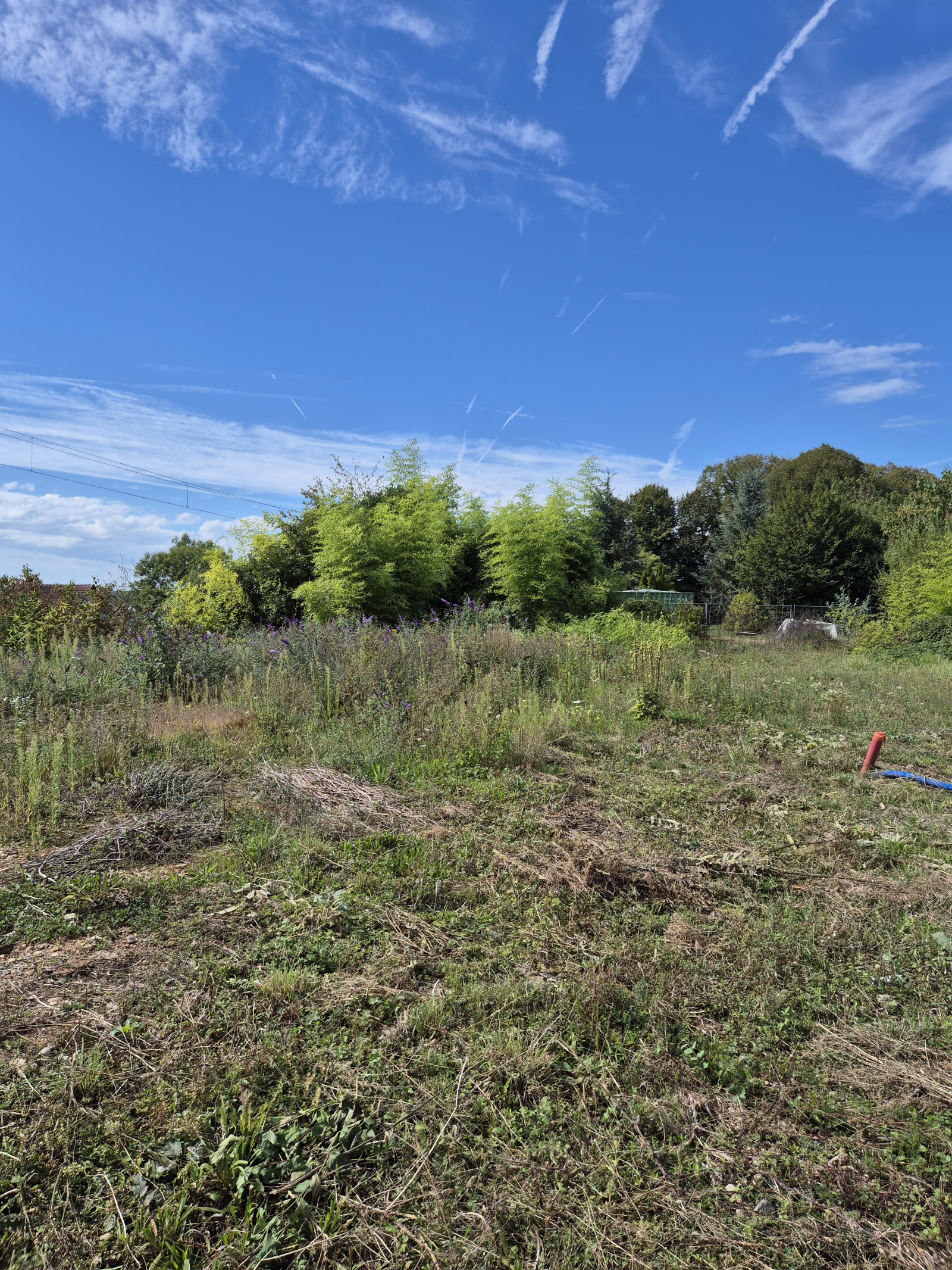 Image_, Terrain, Meroux moval, ref :2237