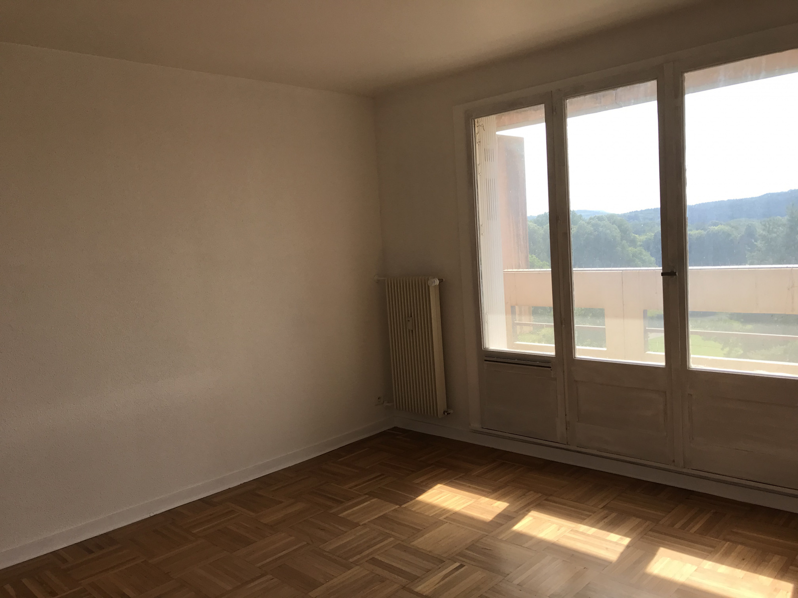 Image_, Appartement, Belfort, ref :1942