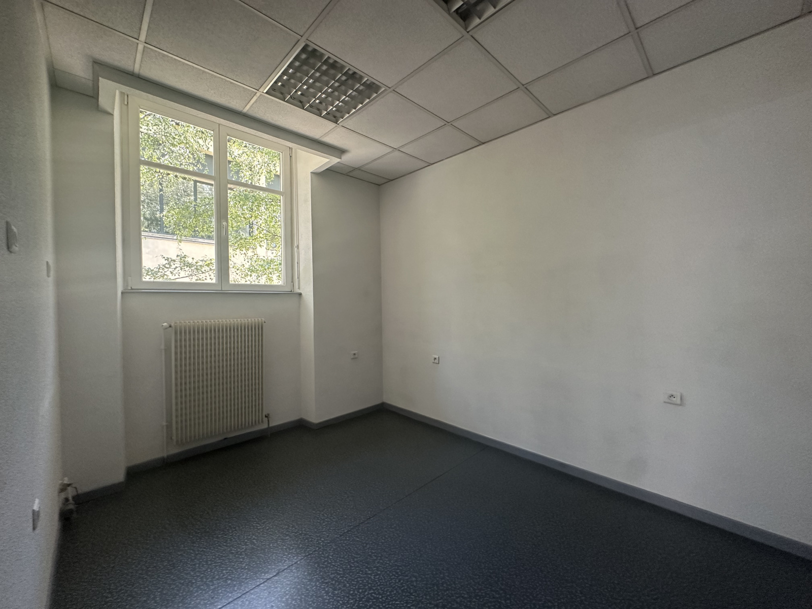 Image_, Bureaux, Belfort, ref :2455