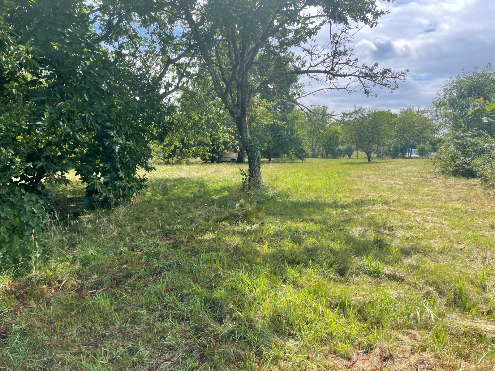 Image_, Terrain, Denney, ref :21501