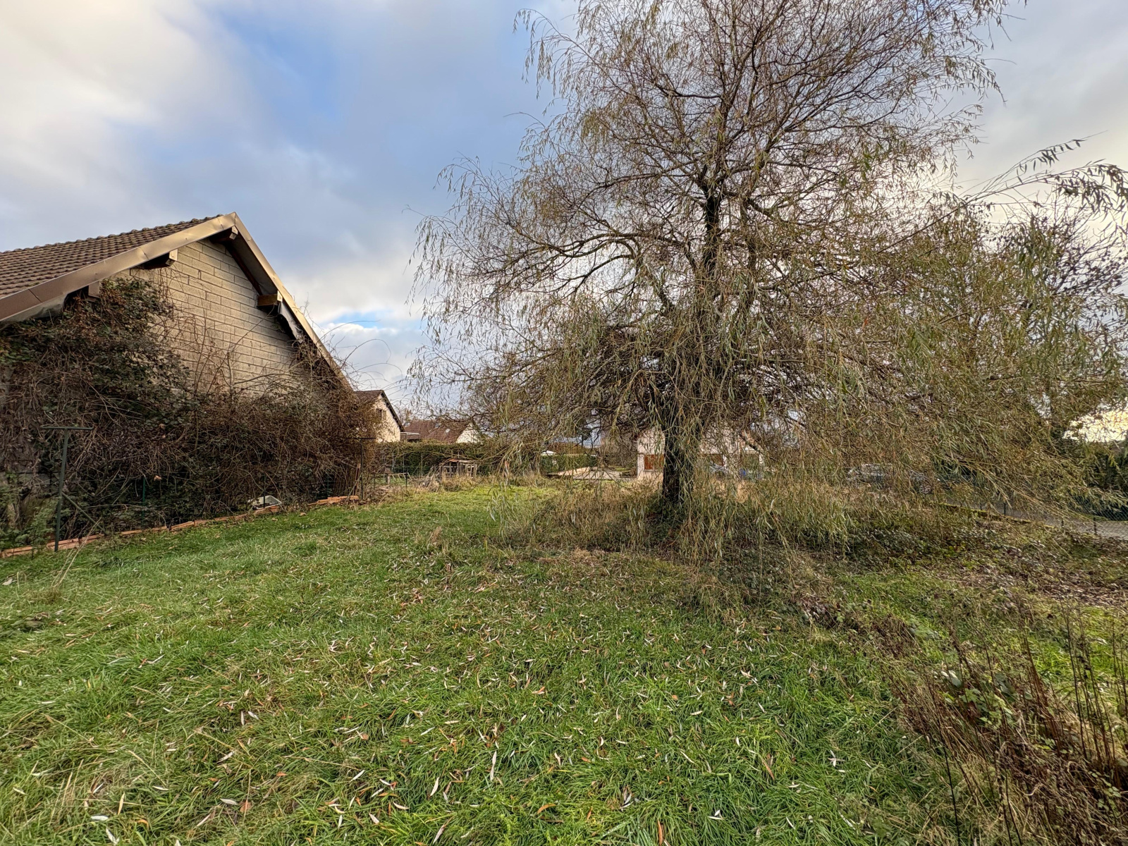 Image_, Terrain, Vescemont, ref :2240