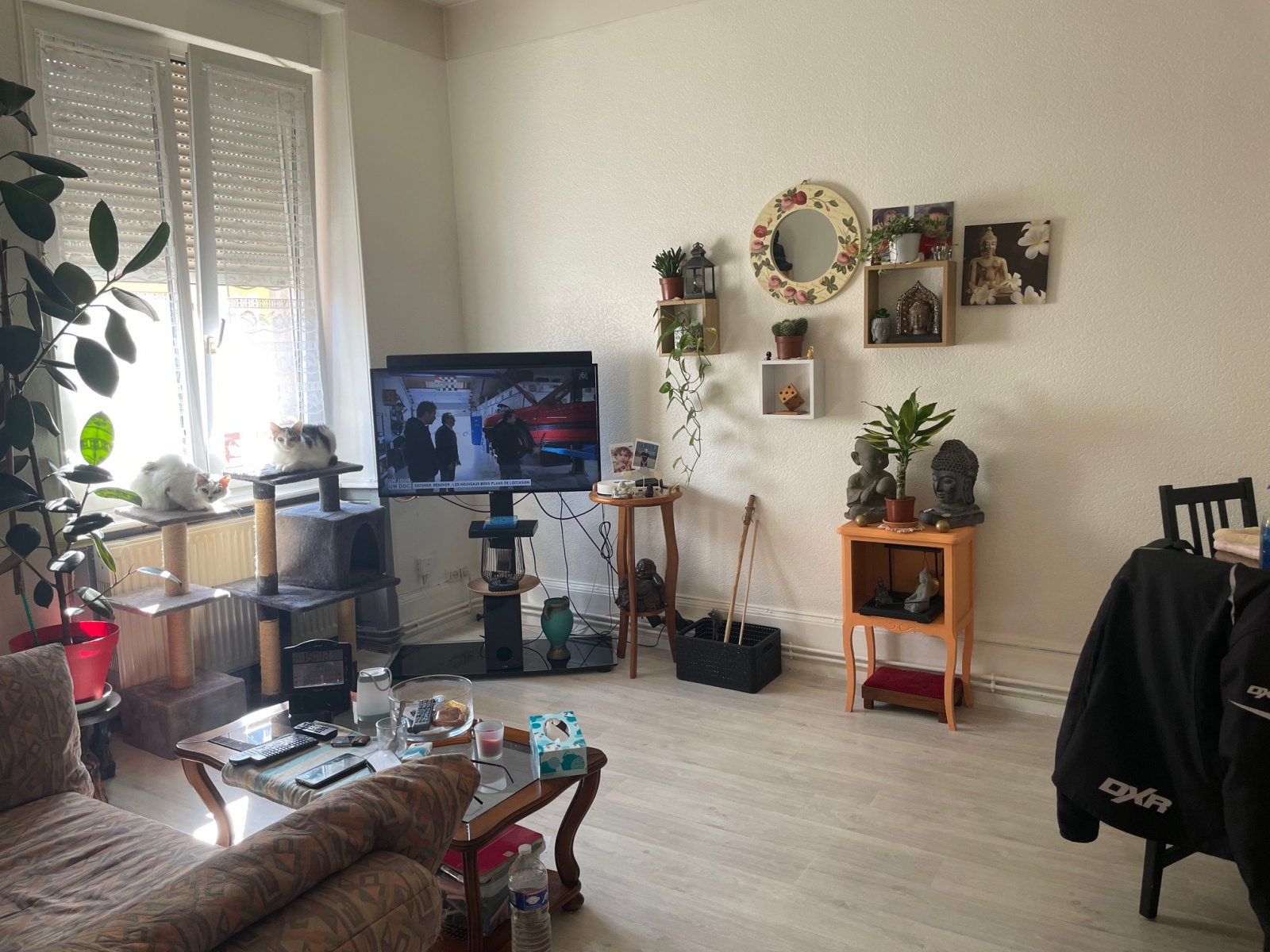 Image_, Appartement, Belfort, ref :1952