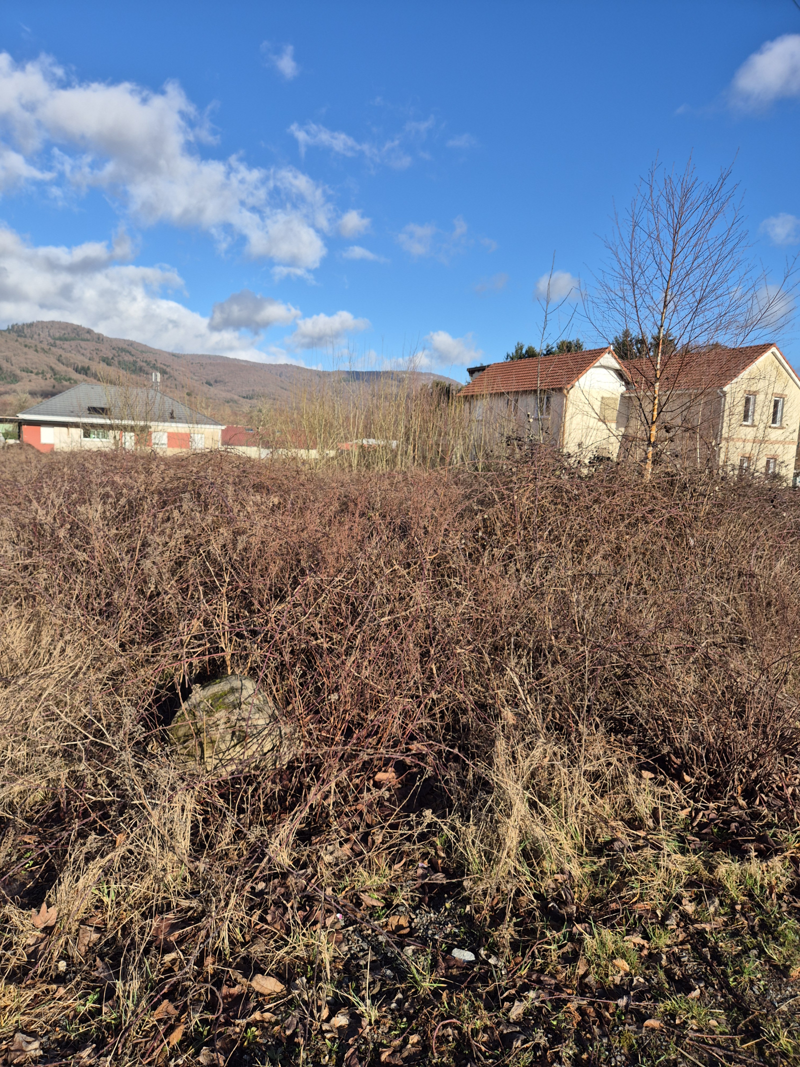 Image_, Terrain, Giromagny, ref :2325