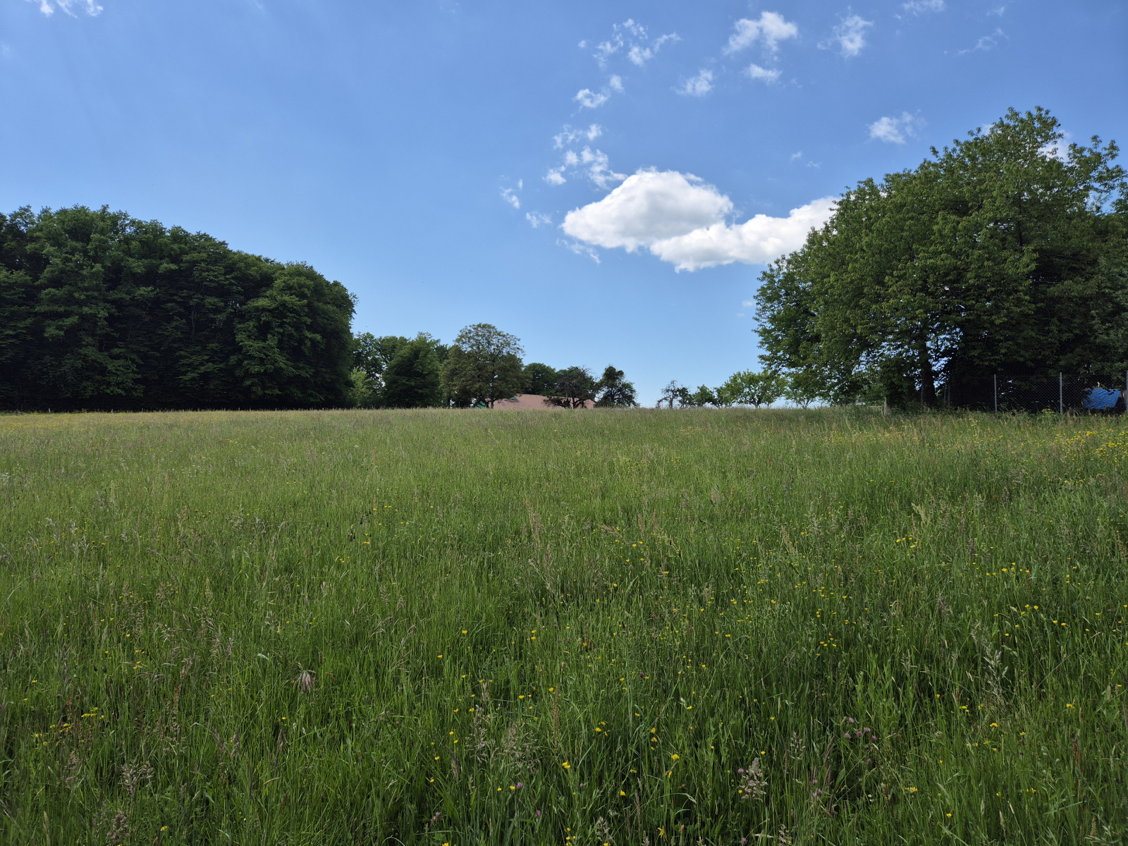 Image_, Terrain, Phaffans, ref :2089