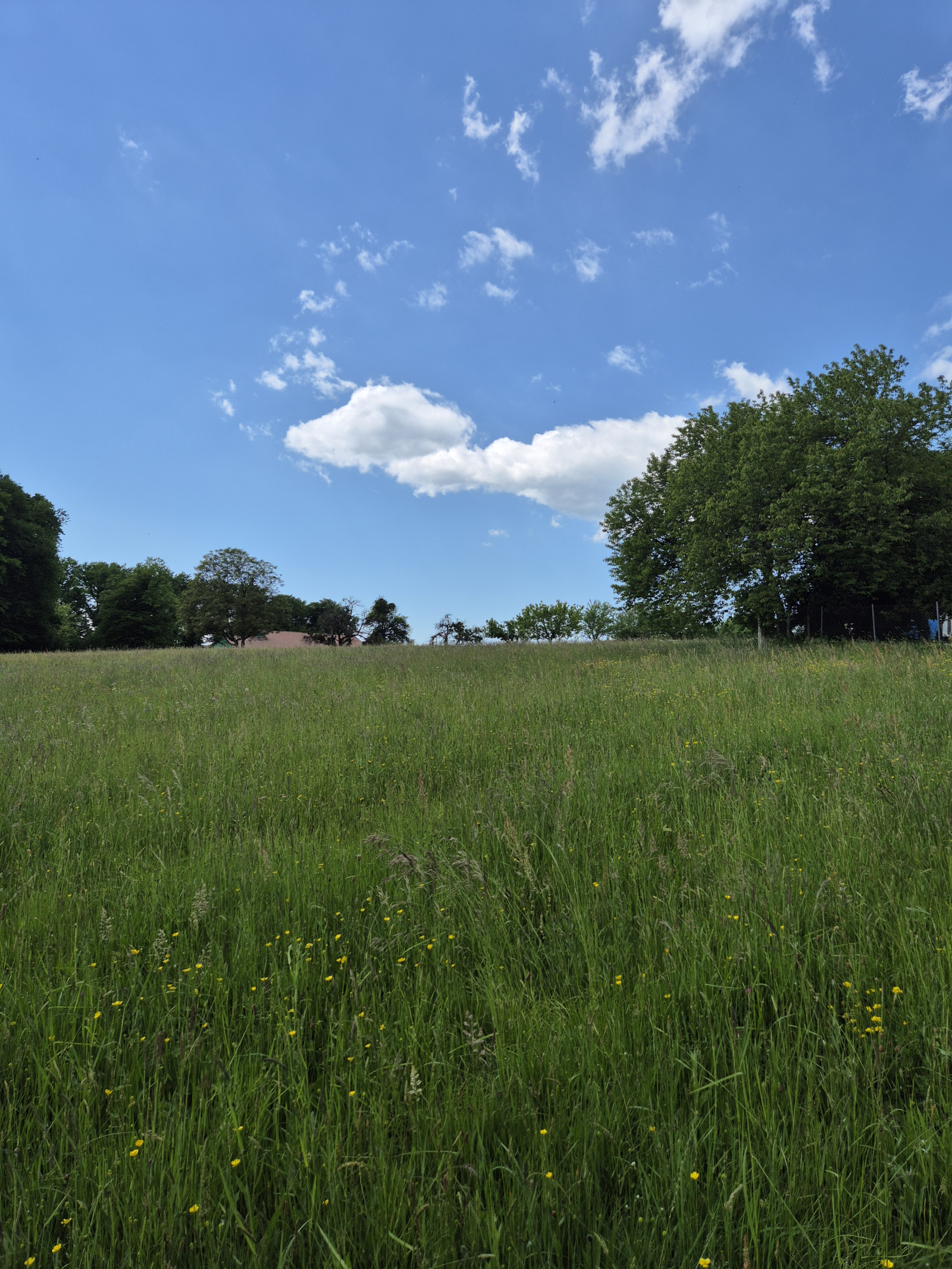 Image_, Terrain, Phaffans, ref :2089