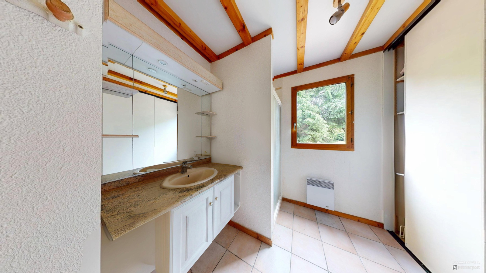 Image_, Chalet, L'Isle-sur-le-Doubs, ref :2117